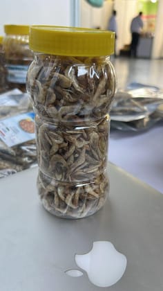 dried prawns 100 gms