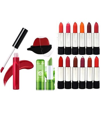 Swenky Multi Matte Lipstick 300