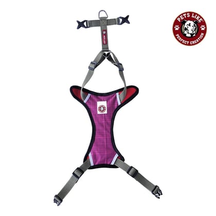 One-Side Padded Harness-Large / Purple