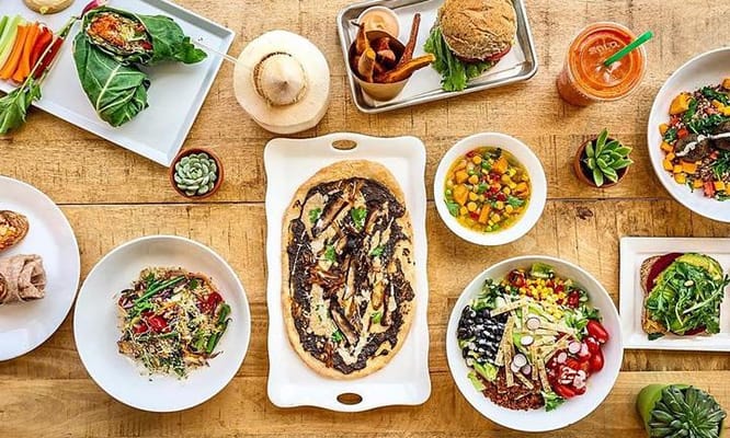Food Studio