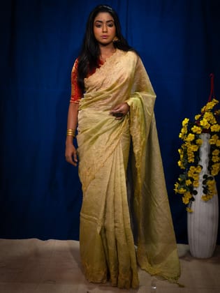 Tissue silk Saree