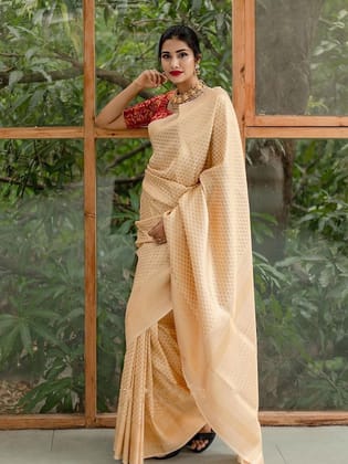 Woven Design Zari Banarasi Saree