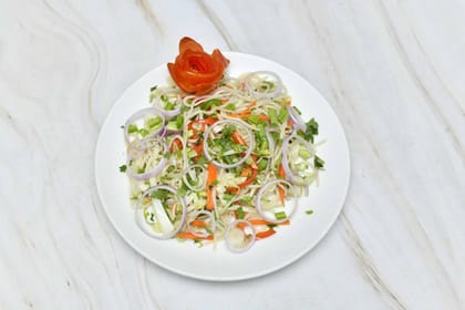 Veg Hakka Noodles
