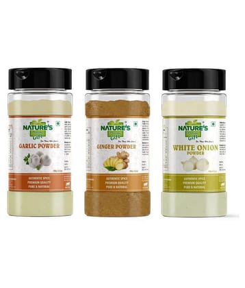 Natures Gift - 100 gm Ginger powder (Pack of 3)
