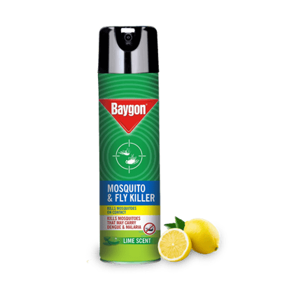 Baygon Mosquito & Fly Killer Spray, 400 ml Can