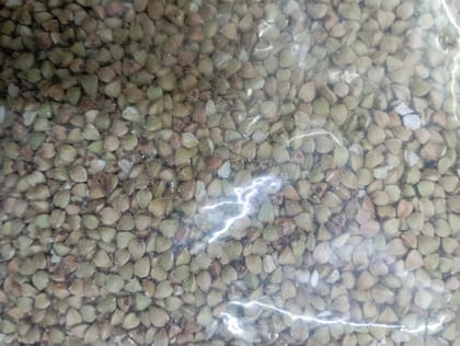 Kuttu gere