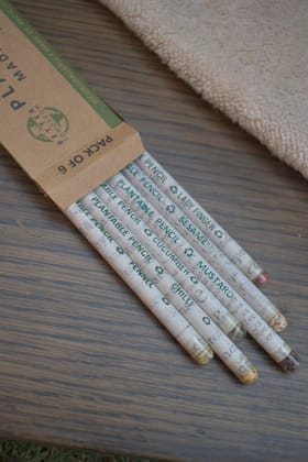 Plantable Seed Pencils made of 100% Recycled Paper - 1 Pack of 6