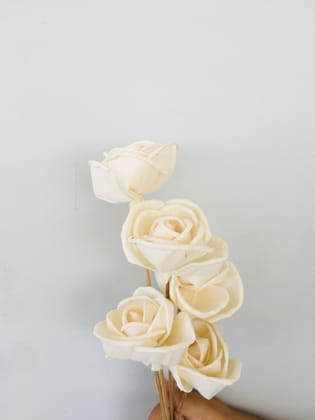 Rosa Grandiflora Sola Flower (5pcs)