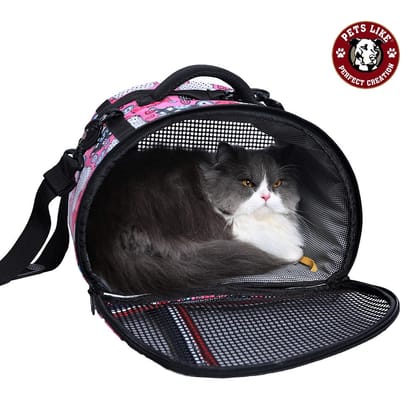 Carry bag for cat