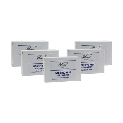 Artnweavess Morning Mist ICE MAGNET Handmade Soap NT, 100 gm - Pack of 5