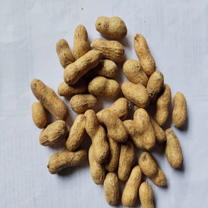 Ground Nut - 1 kg