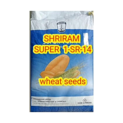 WHEAT SUPER 1 SR- 14