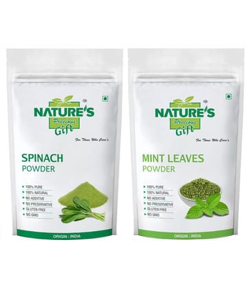 Natures Gift - 100 gm Mint Powder (Pack of 2)