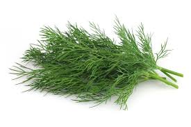 Dill Bunch 1 PIECE