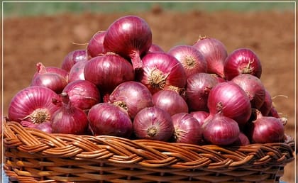 ARKA Kalyan - Onion
