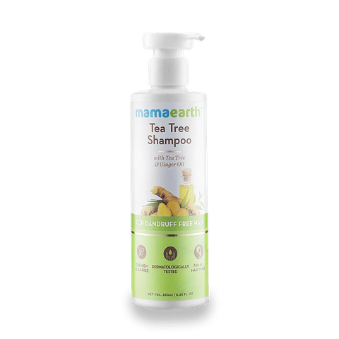Mamaearth Tea Tree Shampoo Ginger Oil, For Dandruff Free Hair, Paraben & Sls, 250 ml Bottle