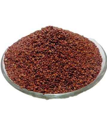 Nutrixia Food Lajwanti/??????? / Sensitive Plant/Mimosa pudica 50 gm