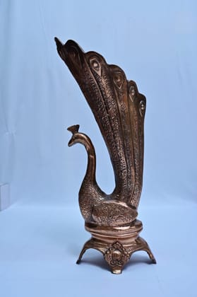 Flower pot with peacock 