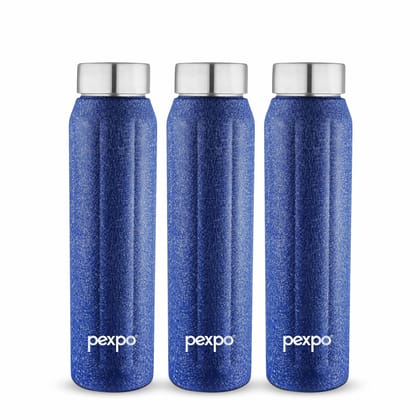PEXPO Stainless Steel Fridge Water Bottle, 700ml, Blue | Eco-Friendly Water Bottle Suitable For Adults & Kids (Pack of 3)