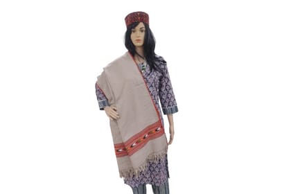 SARAS Aajeevika, Handwoven | Woolen Stole | SHG Product | Himachal Pradesh | Winter & Outdoor | Warm & Elegant | Light Brown