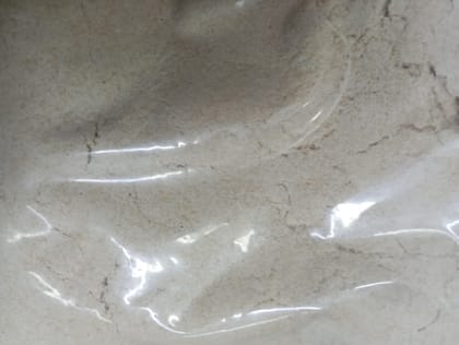 Chooli/rajgeer