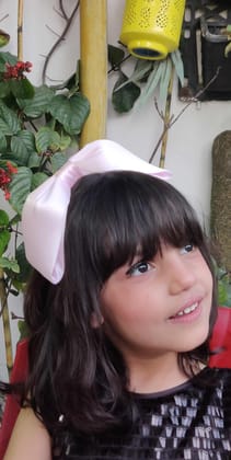 Pink Luxury Bow-Pink
