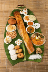 Food Factory