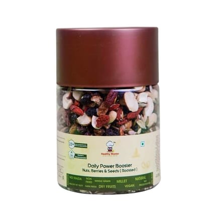 Healthy Master Vision To Serve Healthy Daily Power Booster (Hazel Nuts, Brazil Nuts, Almonds, Walnuts, Blue Berry), 300 gm