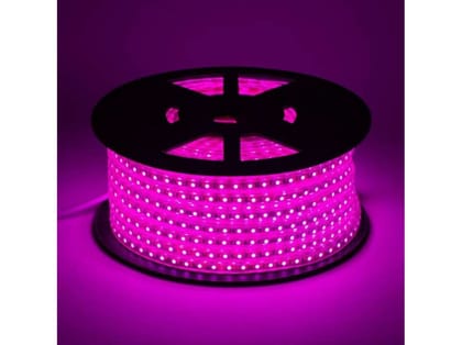 IMAGO 290 LEDs 4m Pink Rice Lights (Pack of 1)