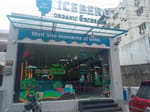 Ice Berge Organic Icecream 