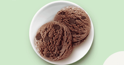 Chocolate Brownie Fudge [DUTCH] __ Solo Tub [140 ML DoubleXL Scoop]