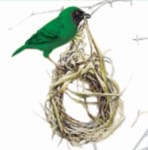 The Weavers Nest