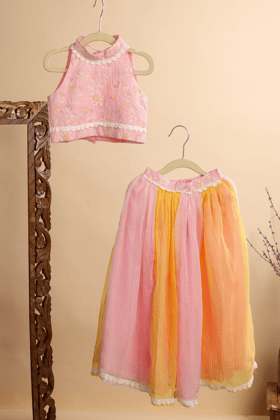 Pink Embroided Lacy Top with Dual Tone Skirt-0-6 months
