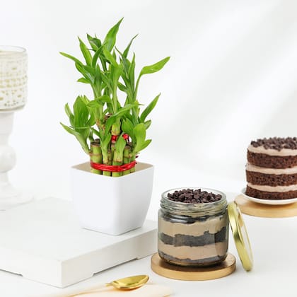 Chocochip Jar Cake With Bamboo Plant
