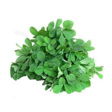 Fenugreek Leaves- Methi 1 PIECE