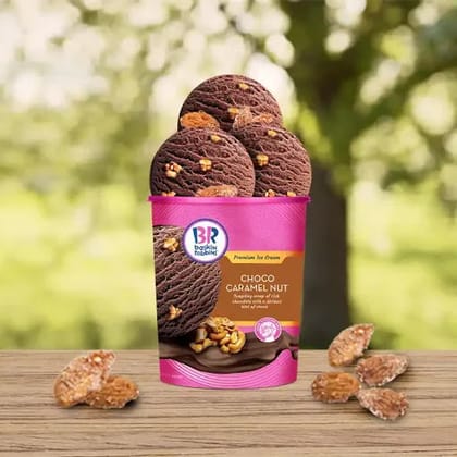 Choco Caramel Nut Ice Cream 450 Ml