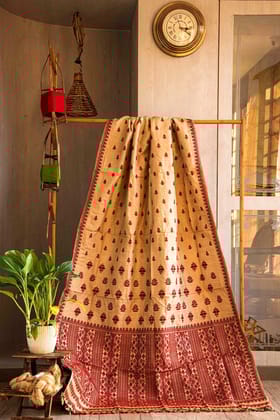 Muga & silk saree
