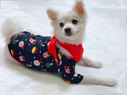 Family Christmas Matching Pajamas Set Christmas Pajamas For Family Christmas PJS Xmas Sleepwear-Picture color / Dog L
