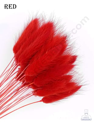 CAKE DECOR™ Red Color Natural Bunny Tails For Cake Decoration Bouquet Wedding Party Centerpieces Decorative – Red (50 pcs pack)
