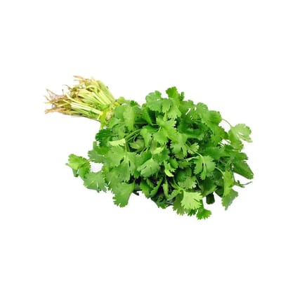 Coriander (Sorted Dhaniya Without Roots)