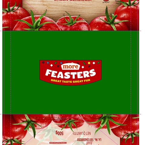 Feasters Tomato Ketchup 500 gm Pack