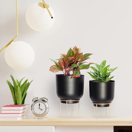 ecofynd Eva Metal Plant Pot with Stand (7.8 inch, 9 inch) | Indoor Outdoor Home Decor Item for Garden Plants Flower, Balcony, Patio, Living Room, Garden, Bedroom (Pack of 2, Black)