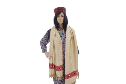 SARAS Aajeevika, Handwoven | Woolen Stole | SHG Product | Himachal Pradesh | Winter & Outdoor | Warm & Elegant | Beige