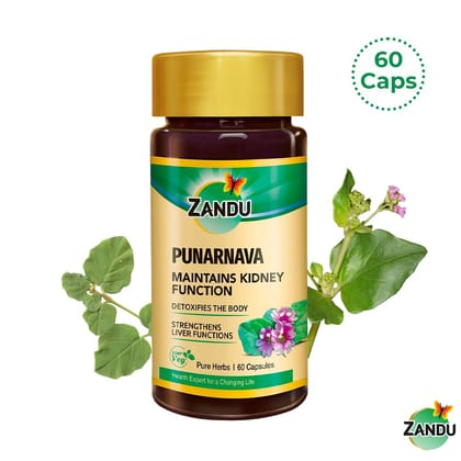 Zandu 100% Pure Punarnava Capsules – Scientifically Tested Ingredient to Improve Kidney Health 60 Caps x 1U