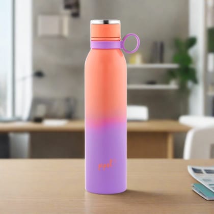 Pipal Amber Insulated Water Bottle-650 ml / Sunset