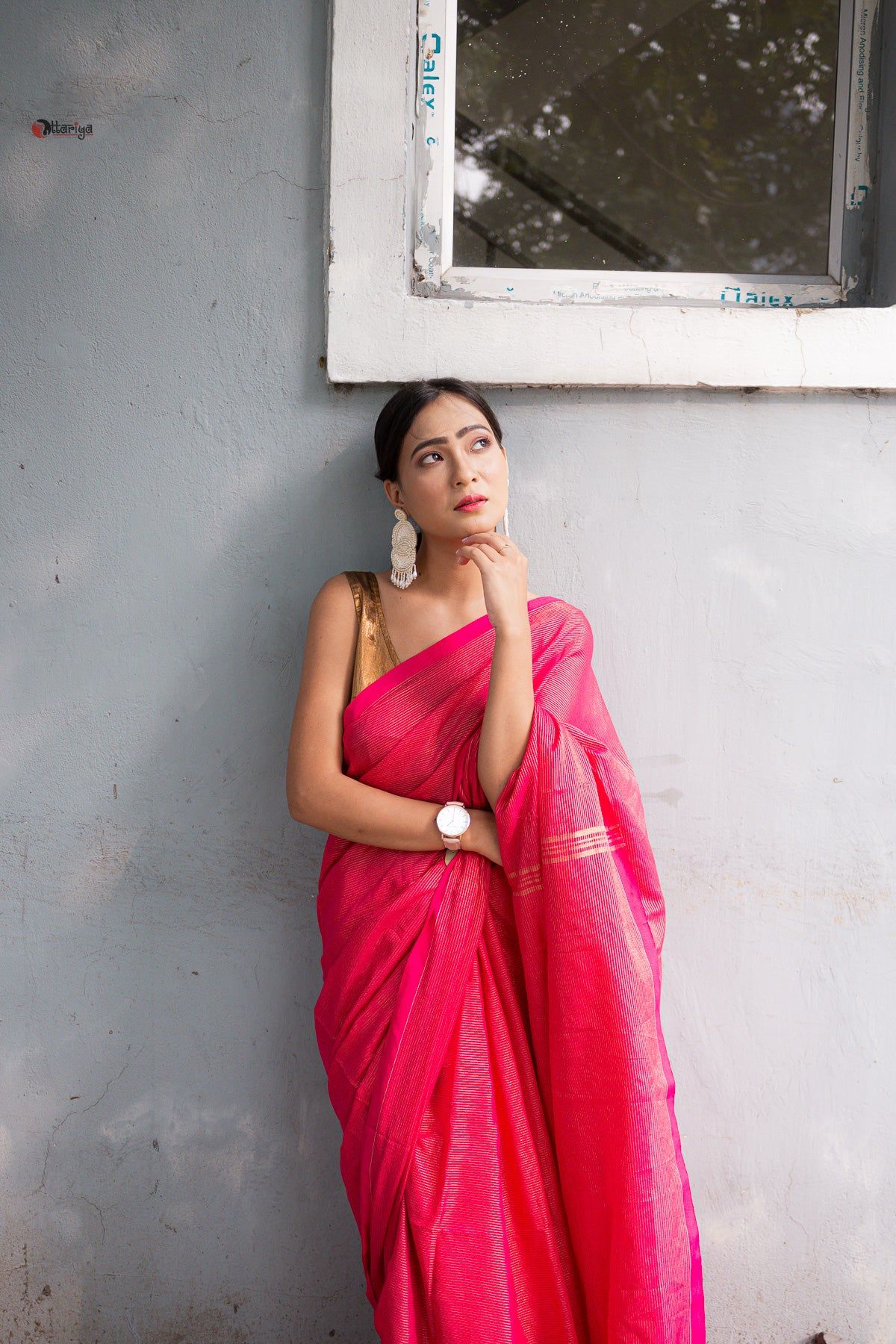 Shine in party Handloom Saree