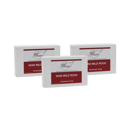 Artnweavess Wild Rock NONI Handmade Soap NT, 100 gm - Pack of 3