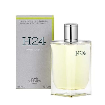 Hermes Terre H24 EDT Perfume For Men 100 ml