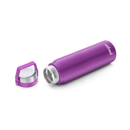 Pexpo 24 Hrs Hot & Cold Stainless Steel Thermosteel Insulated Flask, 725ml, Green, Pluto | Durable | Leak-Proof | Eco-Friendly | Flask with Handle | Gym | Office |School | Travelling