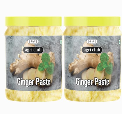 Agri Club Ginger Paste - 400 gm, Pack of 2 Each 200 gm